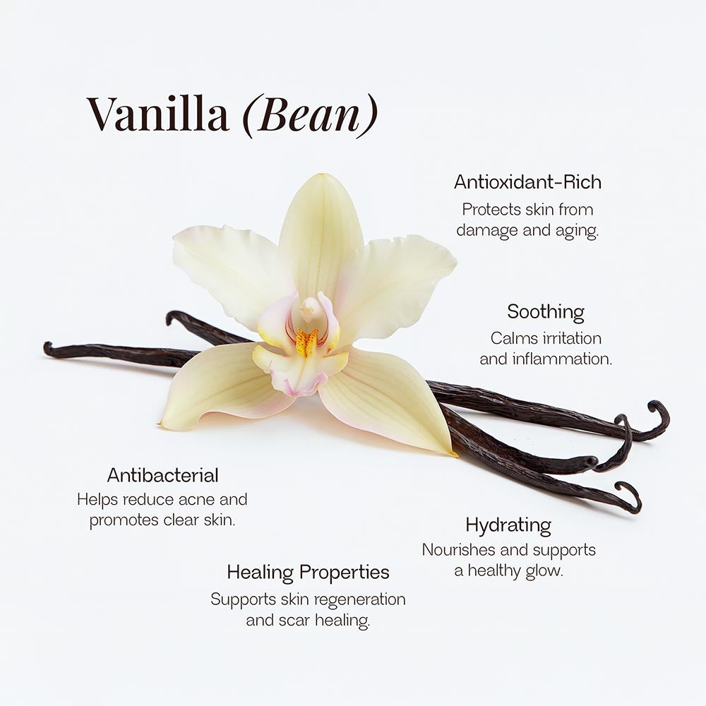 Whipped Organic Grass-Fed Tallow Balm with Vanilla Bean