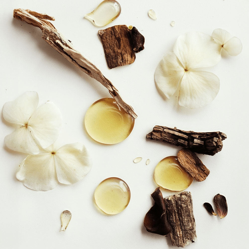 Whipped Organic Grass-Fed Tallow Balm with Vanilla Bean