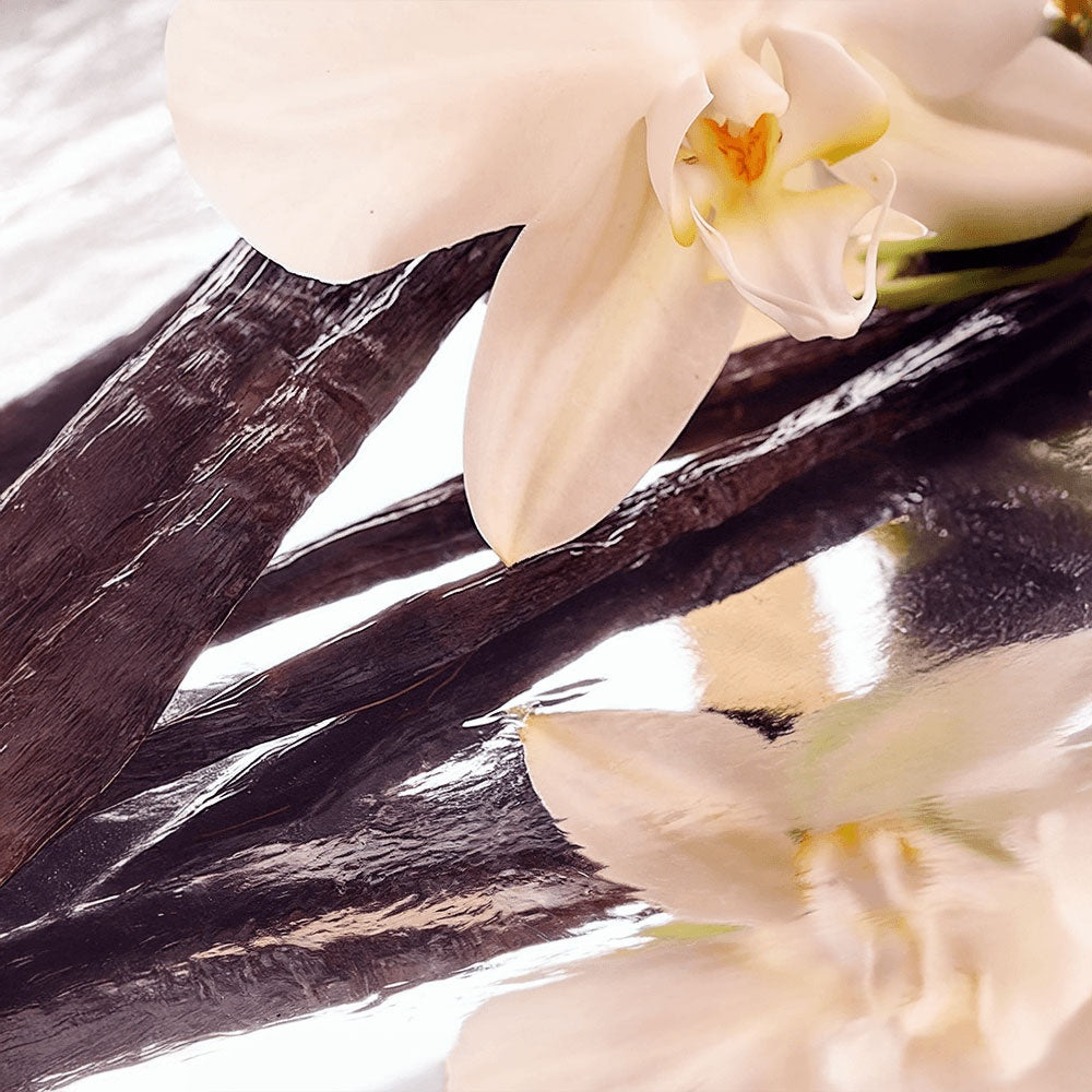 Whipped Organic Grass-Fed Tallow Balm with Vanilla Bean