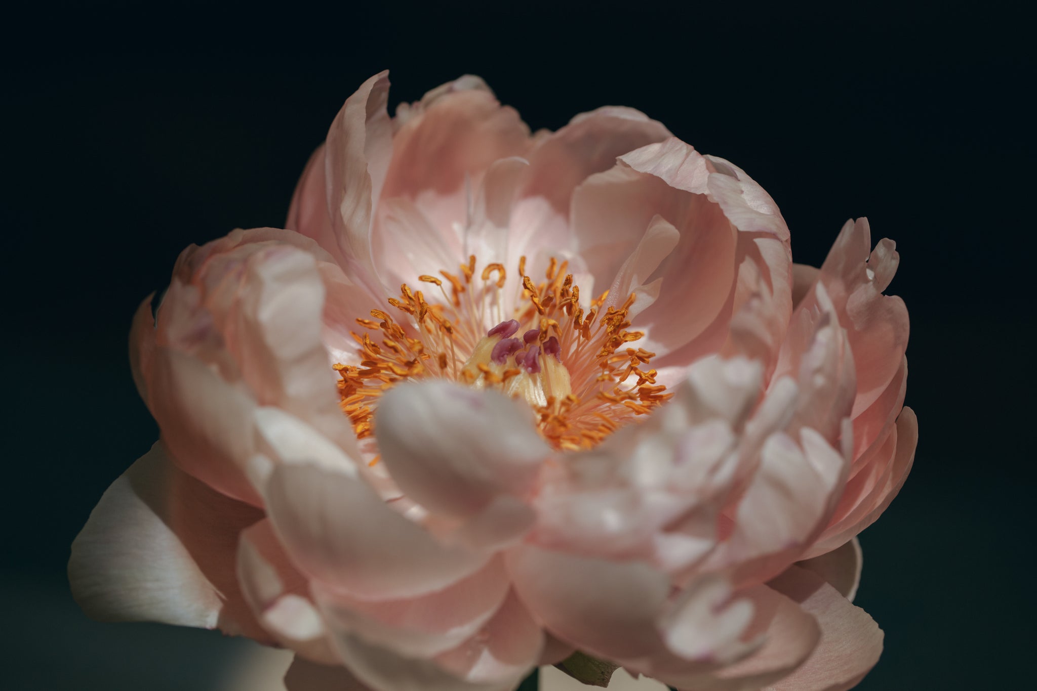 Glowing Chakra Guided Meditation by Brooke Haven